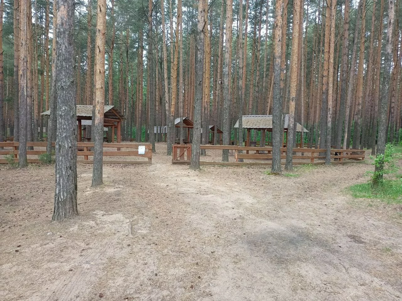 Беседка №19