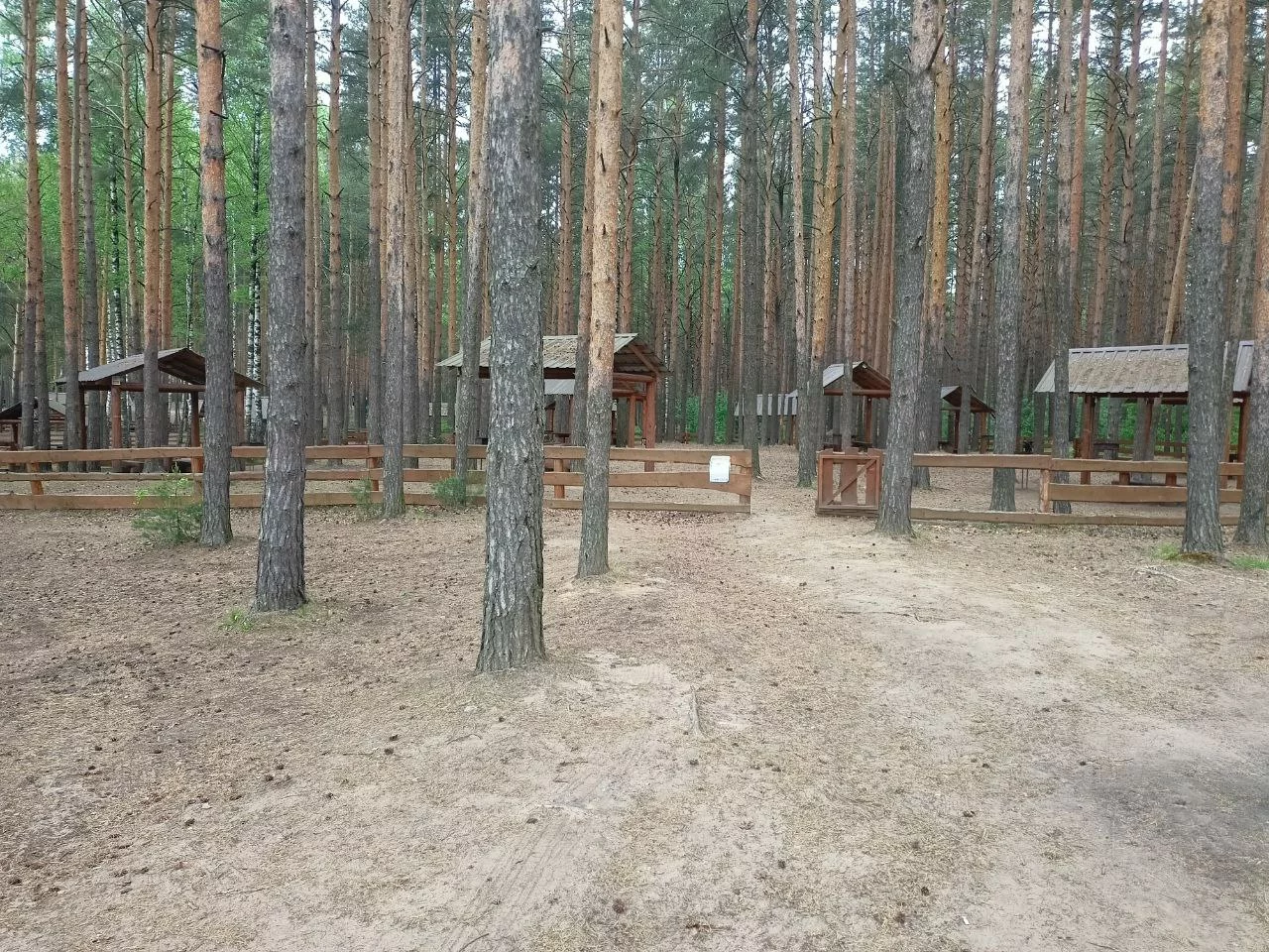 Беседка №31